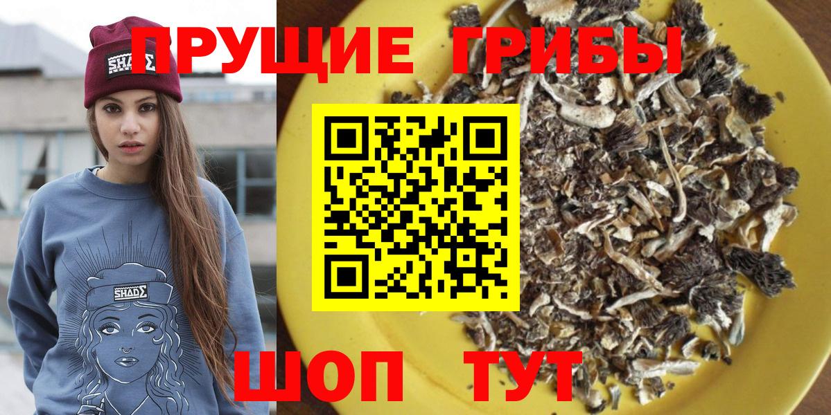 Галлюциногенные грибы Psilocybe  Вход с VPN  Галлюциногенные грибы Psilocybe  Димитровград 
